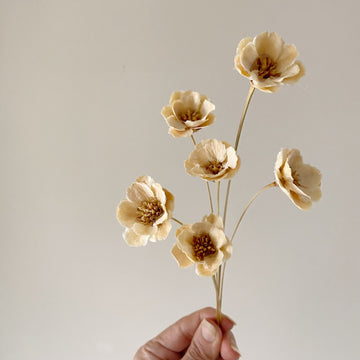 Handmade Anemone Sola Flowers